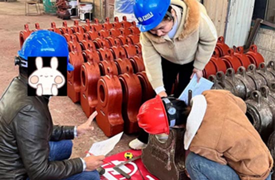 Wear-resistant casting suppliers - Zhili welcomes Pakistani customers to inspect and visit.