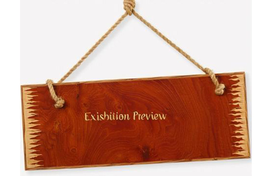 Notice of Exposure of New Materials in the second half of 2025